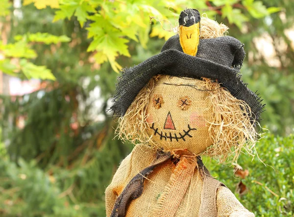 Garden scarecrow — Stock Photo, Image