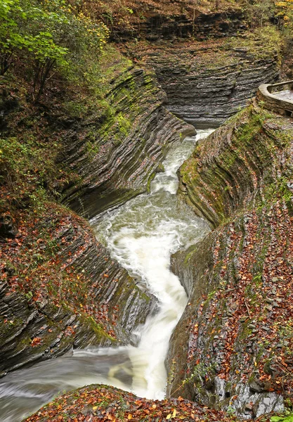 Boschi rocce e ruscelli nel parco statale Watkins Glen NY — Foto Stock