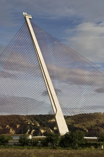 Le pont à haubans Talavera, d'une dimension de 185 mètres de hauteur — Photo