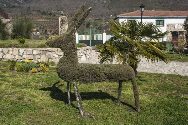 庭園 losar デ ラ ベラ、カセレス、エストレマドゥーラ スペイン, — ストック写真