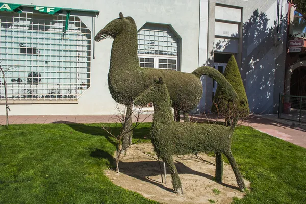 庭園 losar デ ラ ベラ、カセレス、エストレマドゥーラ スペイン, ロイヤリティフリーのストック画像