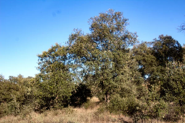 Mediterranean Landscape Autumn Colors — Stock Photo, Image