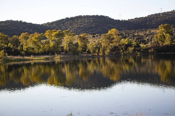 Paisaje Rivera Con Colores Otoñales —  Fotos de Stock