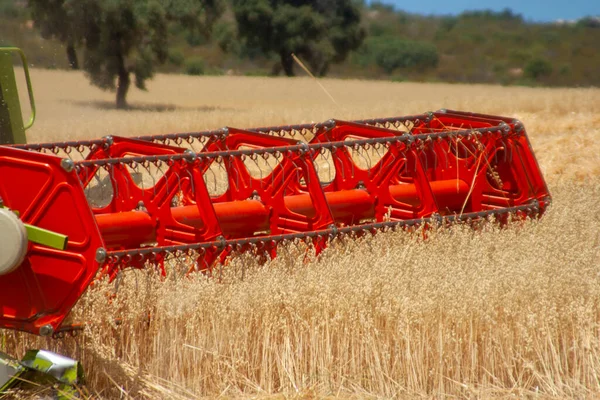Kırsal Alandaki Buğday Tarlası Hasat Makinesiyle Birleşir — Stok fotoğraf