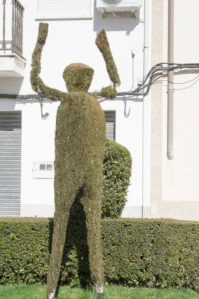 西班牙埃斯特雷马杜拉 Caceres Losar Vera的雕塑和带有树篱的花园 顶层艺术 — 图库照片