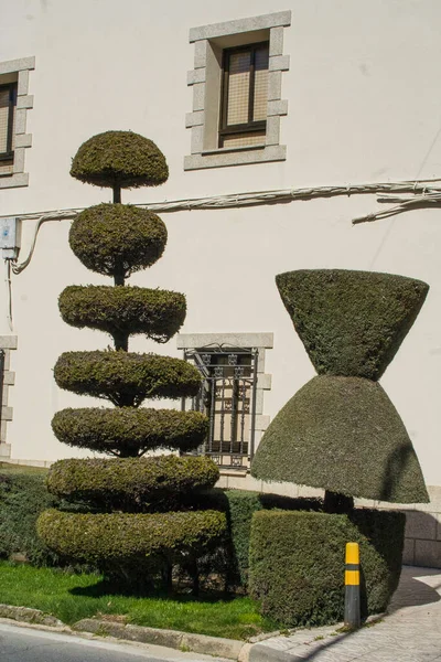 Esculturas Jardins Com Sebes Arte Topiária Losar Vera Cáceres Extremadura — Fotografia de Stock