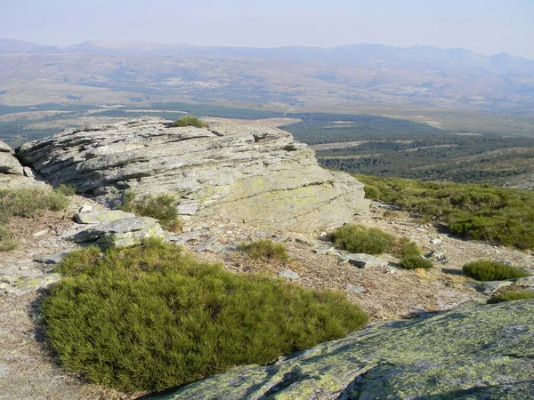 Гора Гредос Авіла Іспанія — стокове фото