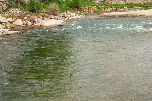 Rivière Dans Forêt — Photo