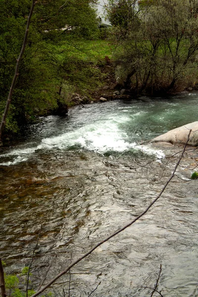 Voda Padá Přes Řeku Les Zelenou Vegetací Pozadí — Stock fotografie