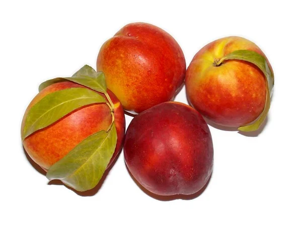 Four Juicy Peaches White Background — Stock Photo, Image