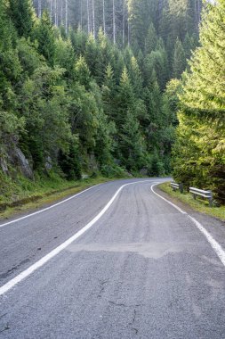 Transfagarasan yol - Romen Karpat dağ yolda yaz