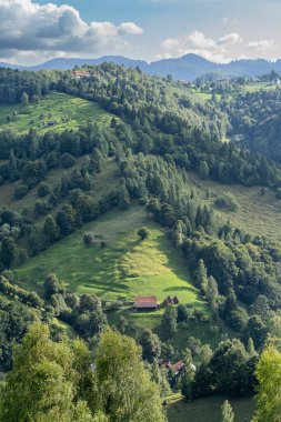 Romanya köyünde yaz renkleriyle dağlık kırsal alan