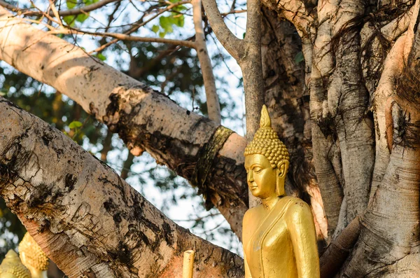 Statua di Buddha nel tempio thailandese — Foto Stock