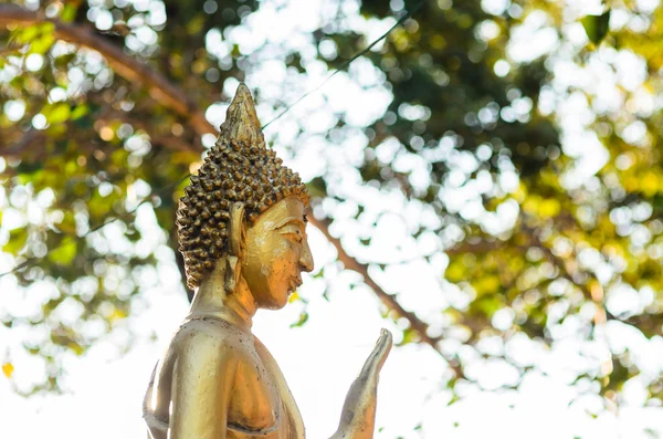 Buddha staty i Thai's temple — Stockfoto