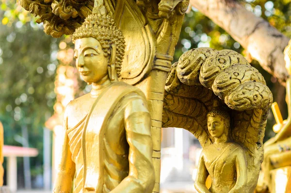 Statua di Buddha nel tempio thailandese — Foto Stock