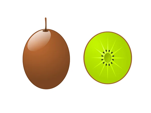 Kiwi, samostatný — Stockový vektor