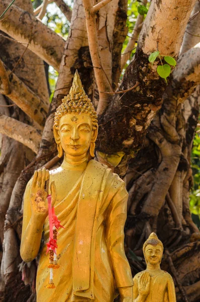 Buda antiguo — Foto de Stock