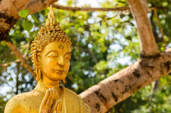 Gamla buddha — Stockfoto