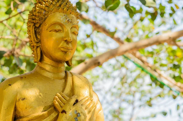 Gamla buddha — Stockfoto