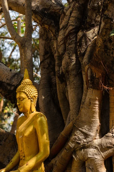 Древний Будда — стоковое фото