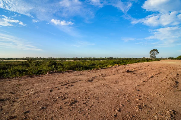 Tierra y cielo — Foto de Stock