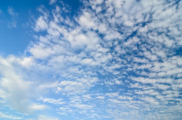 Paisaje nublado en la naturaleza —  Fotos de Stock