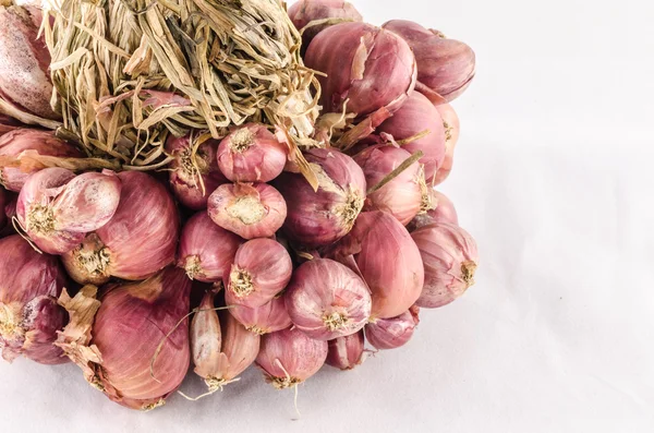 Scalogno su sfondo bianco — Foto Stock