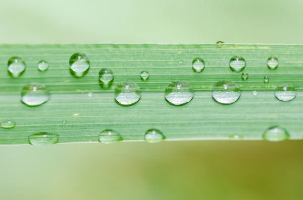 Gotas de agua — Foto de Stock