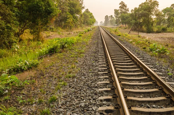 Railway — Stock Photo, Image