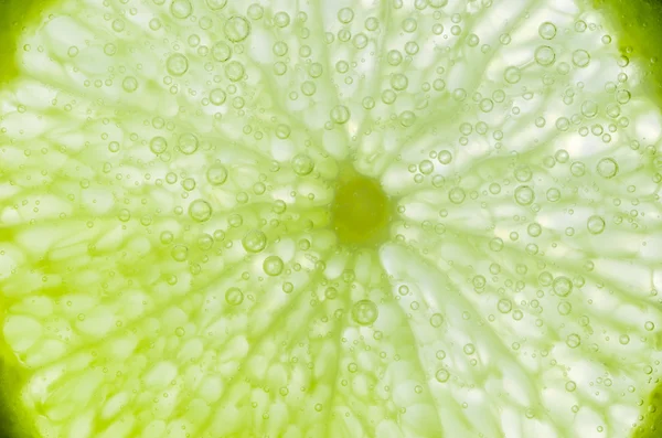 Lemon slice — Stock Photo, Image