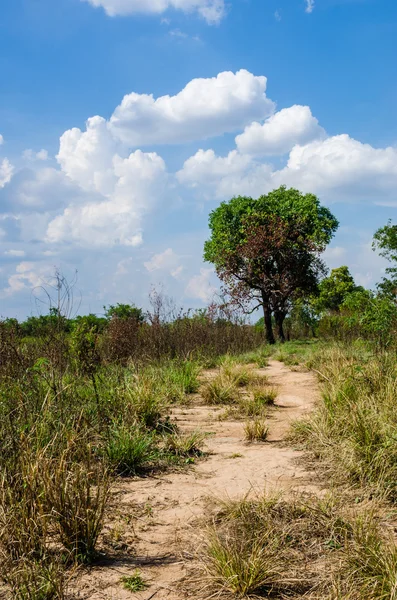 Carretera y cielo — Foto de Stock