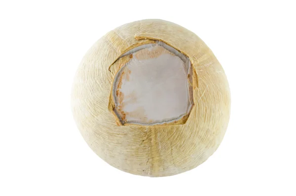 Noci di cocco — Foto Stock