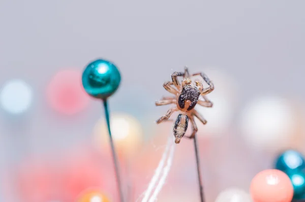 Örümcek ve toplu iğneler — Stok fotoğraf