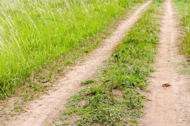 дорога грунту