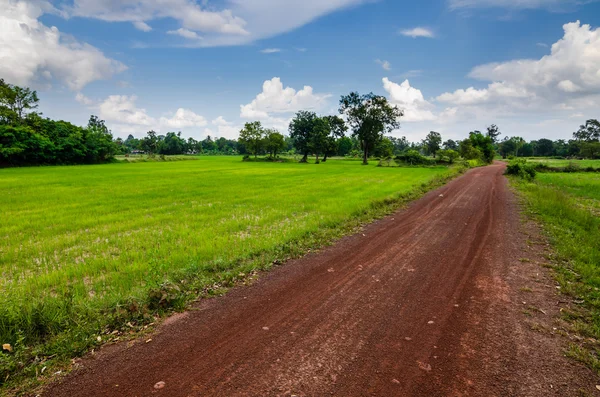 Tierra de carretera — Foto de Stock