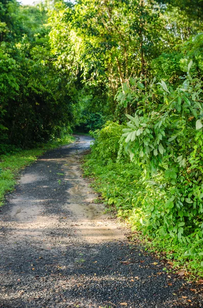 дорога грунту