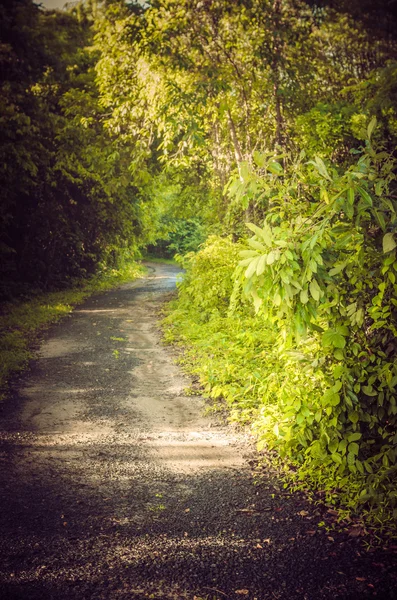 Weg bodem — Stockfoto