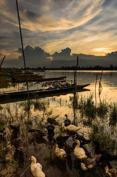 Tayland'da nehir — Stok fotoğraf