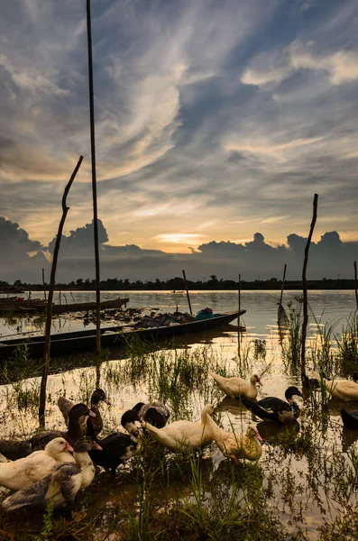 Rio na Tailândia — Fotografia de Stock