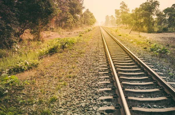 Railway — Stock Photo, Image