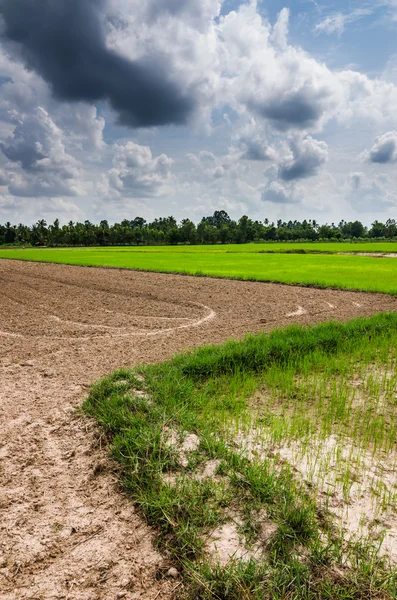 Ploughed field — Stock Photo, Image