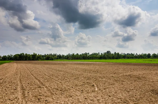 Plogad fältet — Stockfoto