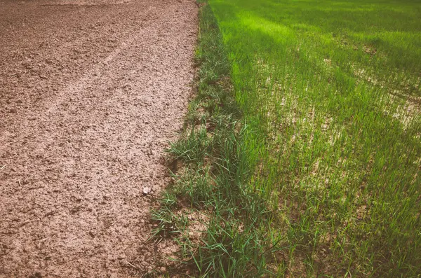 Plogad fältet — Stockfoto