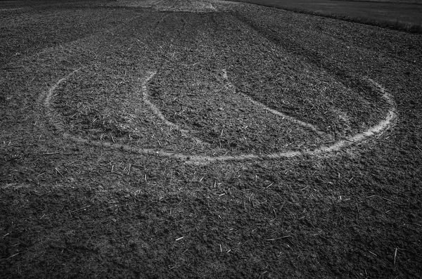 Ploughed field — Stock Photo, Image