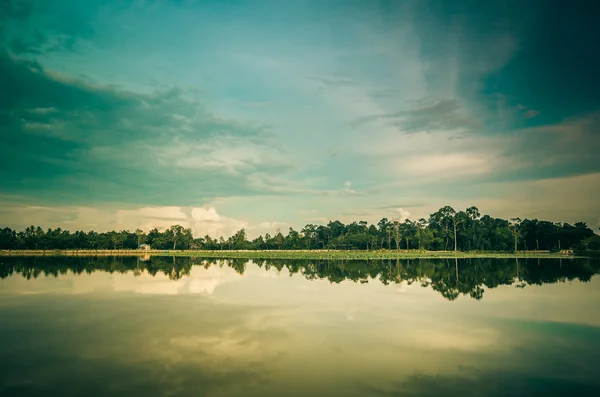 Stagno in primavera — Foto Stock