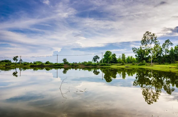 Lagoa na primavera — Fotografia de Stock