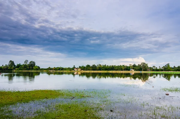 Lagoa na primavera — Fotografia de Stock