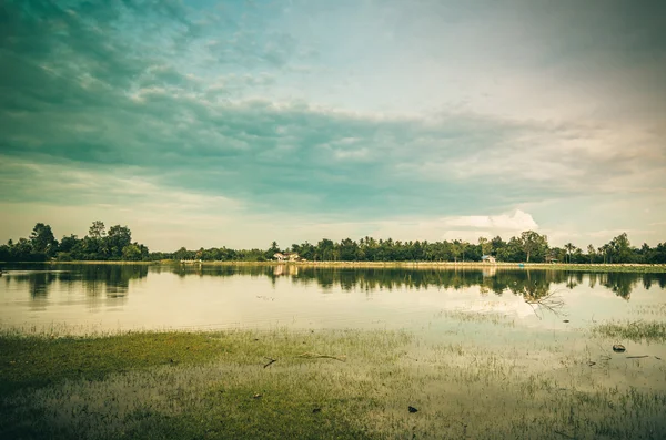 Stagno in primavera — Foto Stock