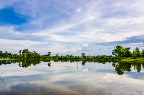 Lagoa na primavera — Fotografia de Stock