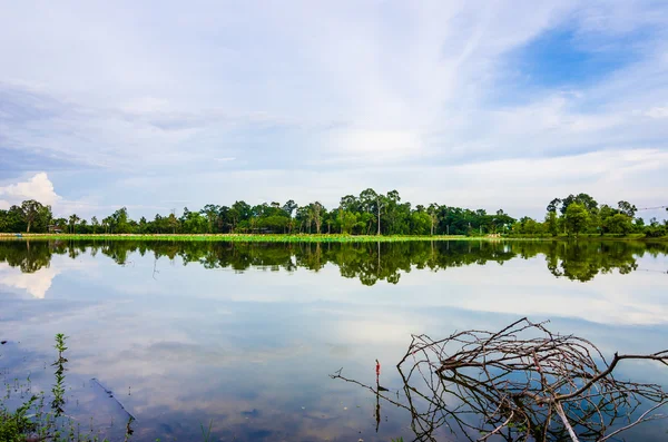 Vijver in het voorjaar van — Stockfoto